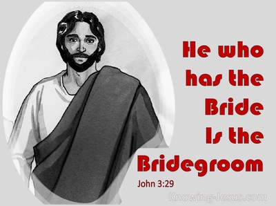 John 3:29 He Who Has The Bride Is The Bridegroom (red)